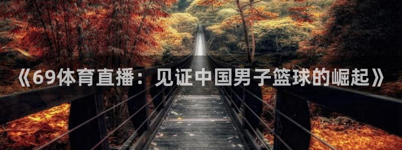 足球绿茵直播：《69体育直播：见证中国男子篮球的崛起》