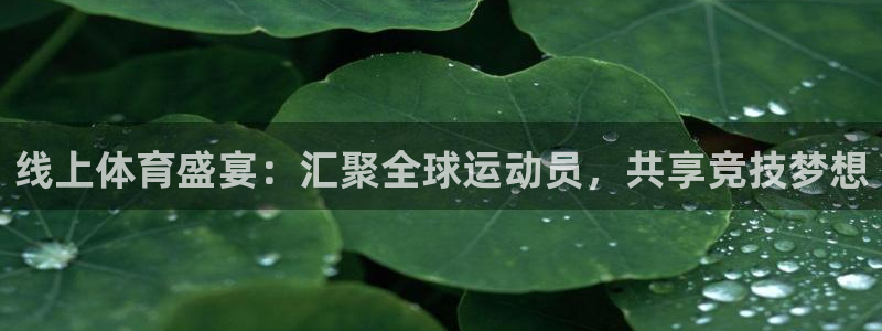 绿茵直播体育免费观看：线上体育盛宴：汇聚全球运动员，共享竞技梦想