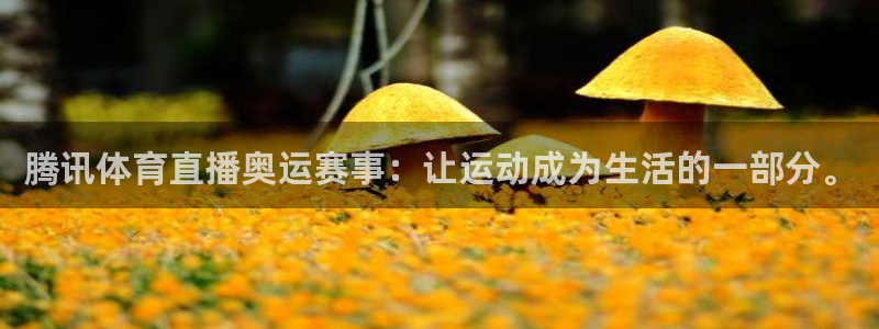 足球:无敌之全能绿茵巨星：腾讯体育直播奥运赛事：让运动成为生活的一部分。
