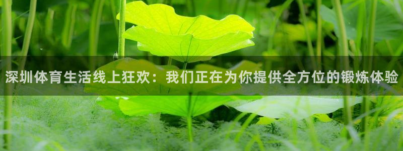 绿茵足球直播：深圳体育生活线上狂欢：我们正在为你提供全方位的锻炼体验