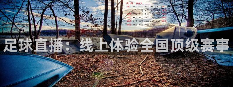 绿茵体育直播9939：足球直播：线上体验全国顶级赛事